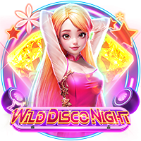 Wild Disco Night